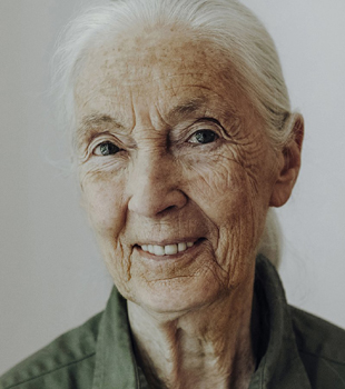 jane goodall