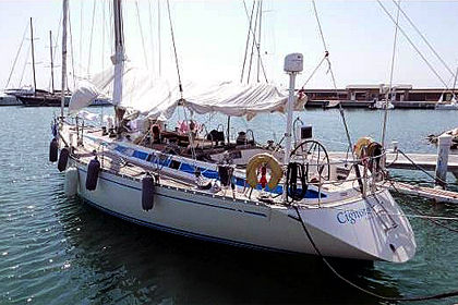 swan53